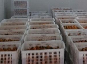 保鮮庫(kù)和冷凍庫(kù)的區(qū)別。