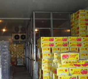 草莓采后商業(yè)化加工與氣調(diào)庫蘊藏