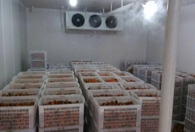 跟著安徽雪坊一起來(lái)了解下影響冷庫(kù)設(shè)備制冷效果的幾個(gè)因素吧！