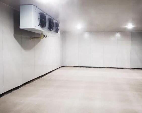 鋼結構冷庫造價要多少錢一平方？安徽雪坊制冷告訴您